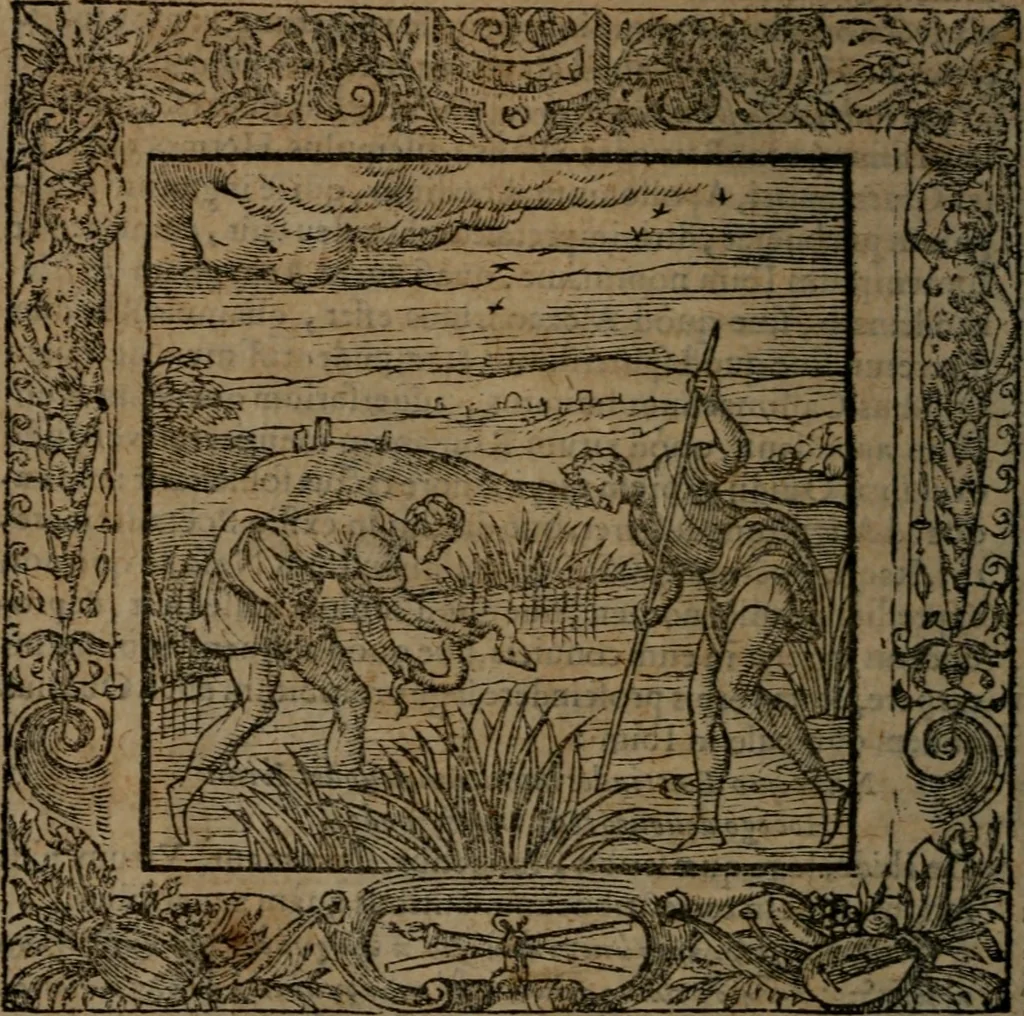 An illustration from Omnia Andreae Alciati v.c. emblemata : cum commentariis, quibus emblematum omnium aperta origine, mens auctoris explicatur, & obscura omnia dubiaque illustrantur, 1581, leaf 351