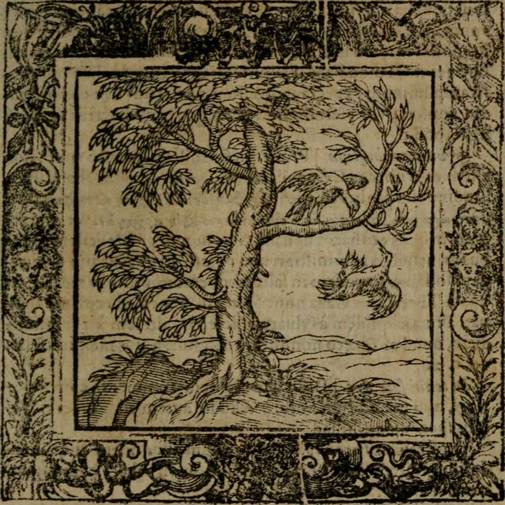 An illustration from Omnia Andreae Alciati v.c. emblemata : cum commentariis, quibus emblematum omnium aperta origine, mens auctoris explicatur, & obscura omnia dubiaque illustrantur, 1581, leaf 364