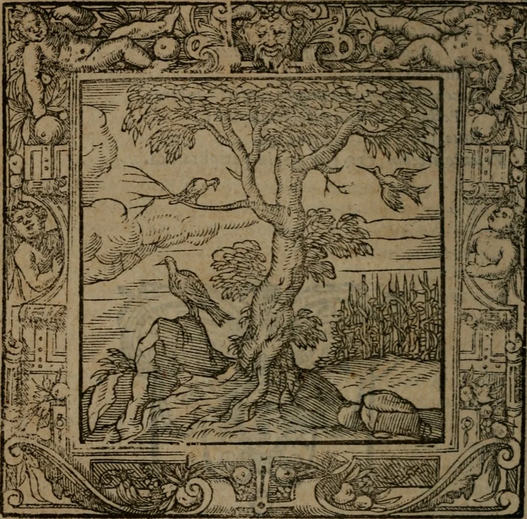 An illustration from Omnia Andreae Alciati v.c. emblemata : cum commentariis, quibus emblematum omnium aperta origine, mens auctoris explicatur, & obscura omnia dubiaque illustrantur, 1581, leaf 383