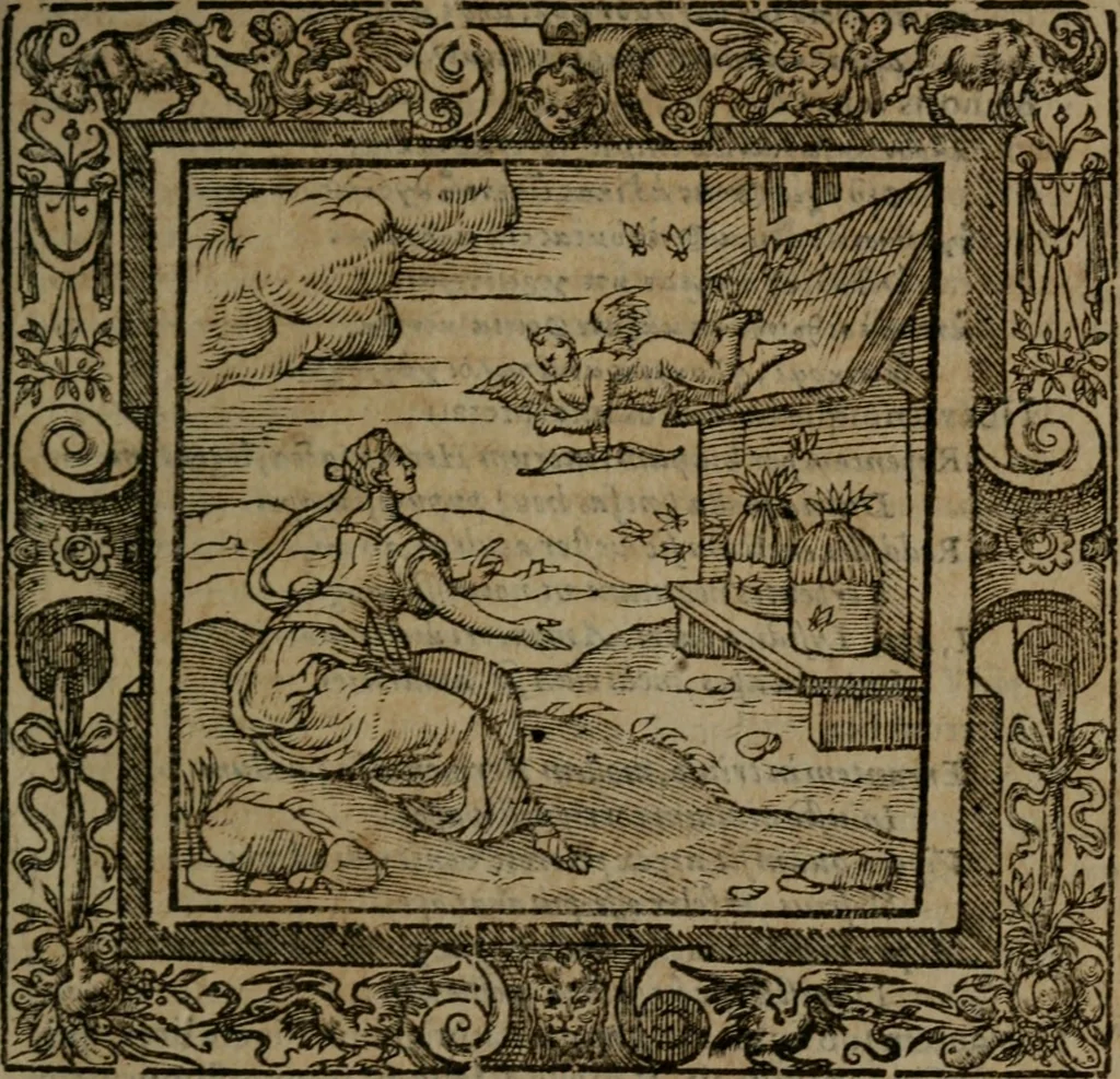 An illustration from Omnia Andreae Alciati v.c. emblemata : cum commentariis, quibus emblematum omnium aperta origine, mens auctoris explicatur, & obscura omnia dubiaque illustrantur, 1581, leaf 422