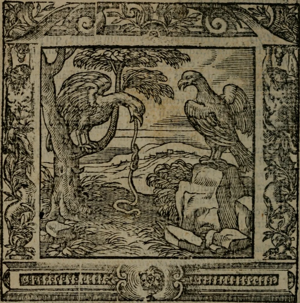 An illustration from Omnia Andreae Alciati v.c. emblemata : cum commentariis, quibus emblematum omnium aperta origine, mens auctoris explicatur, & obscura omnia dubiaque illustrantur, 1581, leaf 493