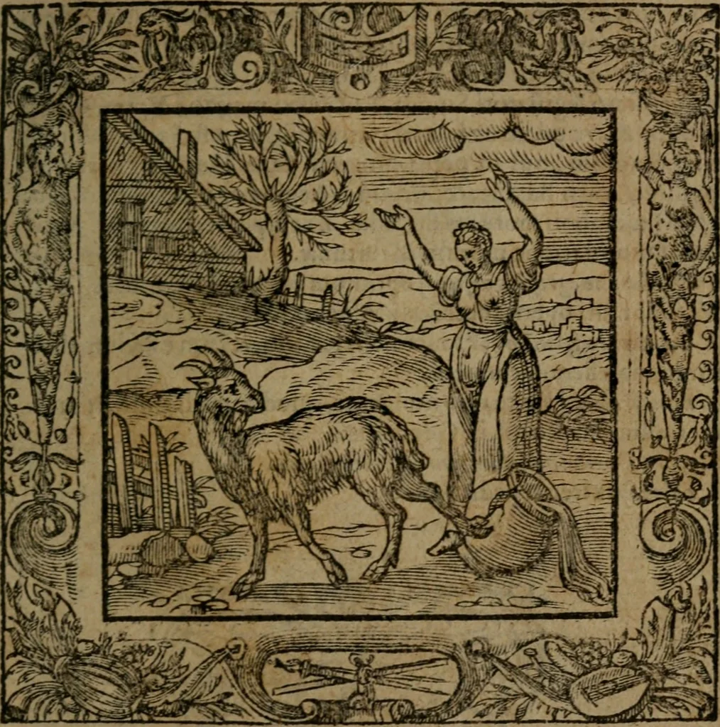 An illustration from Omnia Andreae Alciati v.c. emblemata : cum commentariis, quibus emblematum omnium aperta origine, mens auctoris explicatur, & obscura omnia dubiaque illustrantur, 1581, leaf 536