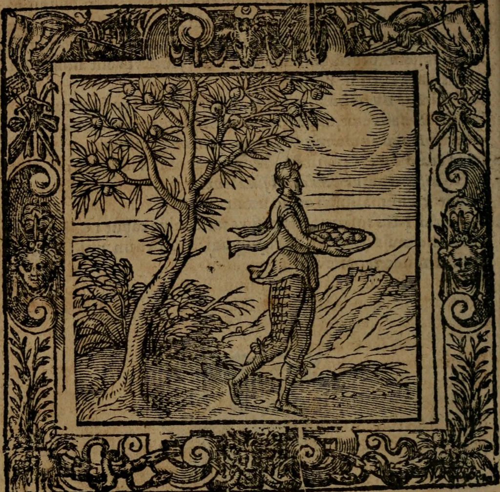 An illustration from Omnia Andreae Alciati v.c. emblemata : cum commentariis, quibus emblematum omnium aperta origine, mens auctoris explicatur, & obscura omnia dubiaque illustrantur, 1581, leaf 541