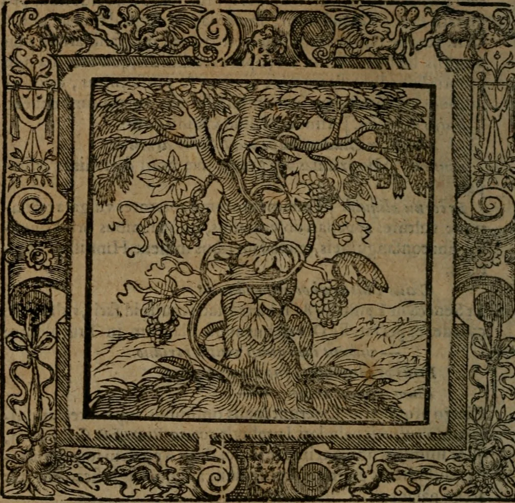An illustration from Omnia Andreae Alciati v.c. emblemata : cum commentariis, quibus emblematum omnium aperta origine, mens auctoris explicatur, & obscura omnia dubiaque illustrantur, 1581, leaf 587