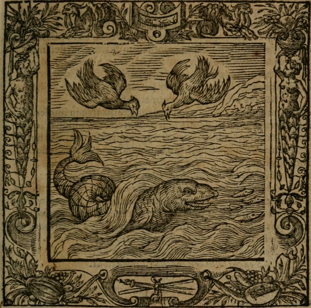 An illustration from Omnia Andreae Alciati v.c. emblemata : cum commentariis, quibus emblematum omnium aperta origine, mens auctoris explicatur, & obscura omnia dubiaque illustrantur, 1581, leaf 616