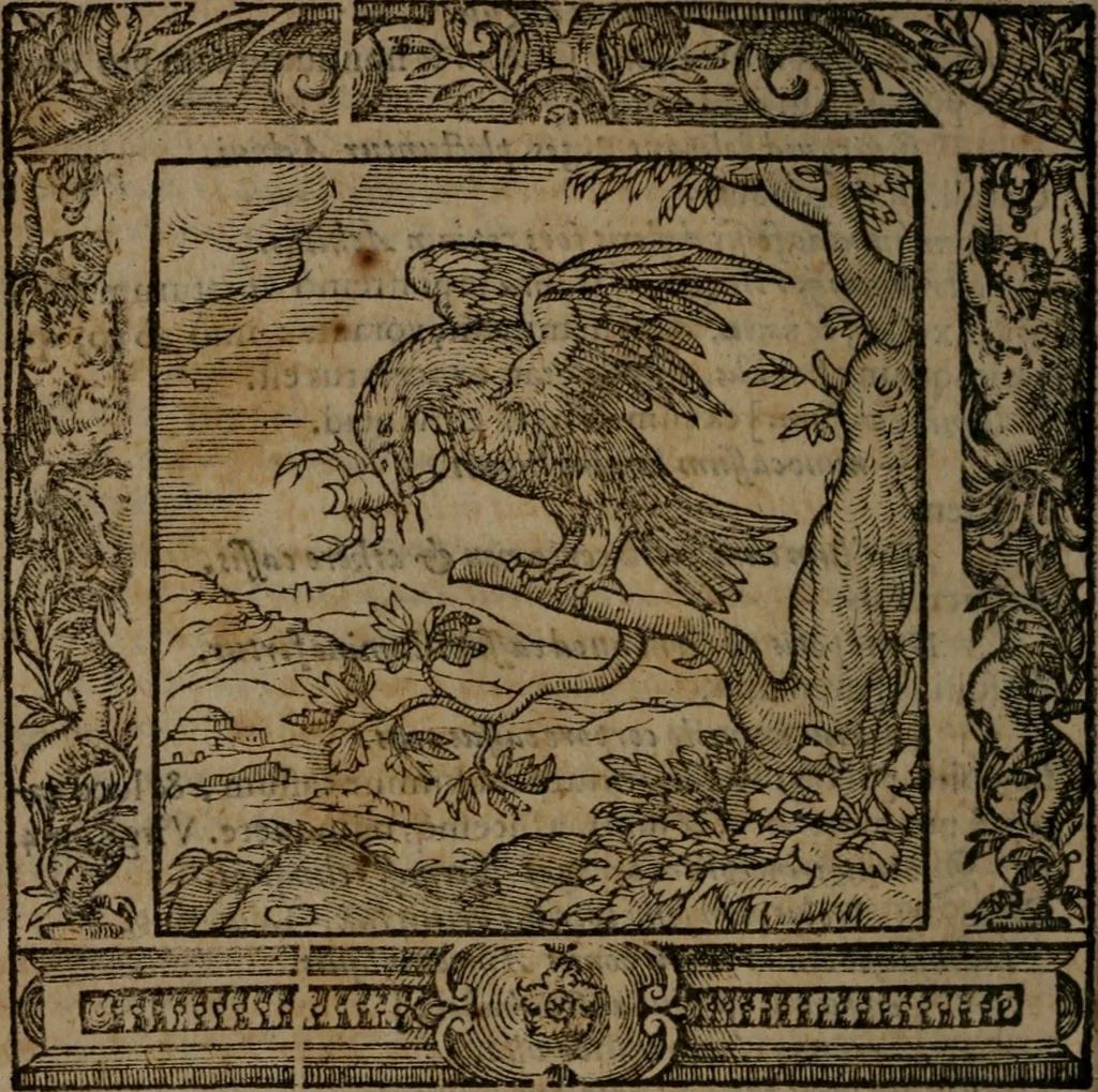 An illustration from Omnia Andreae Alciati v.c. emblemata : cum commentariis, quibus emblematum omnium aperta origine, mens auctoris explicatur, & obscura omnia dubiaque illustrantur, 1581, leaf 625