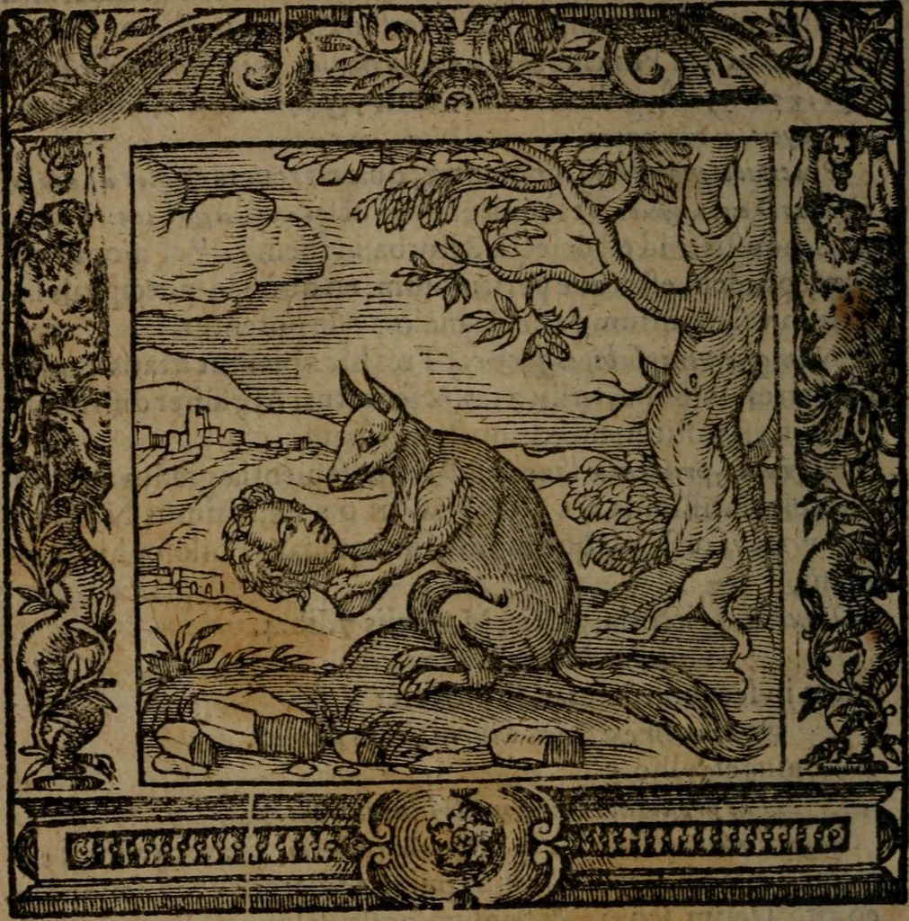 An illustration from Omnia Andreae Alciati v.c. emblemata : cum commentariis, quibus emblematum omnium aperta origine, mens auctoris explicatur, & obscura omnia dubiaque illustrantur, 1581, leaf 687