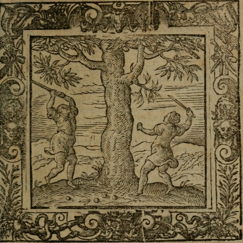 An illustration from Omnia Andreae Alciati v.c. emblemata : cum commentariis, quibus emblematum omnium aperta origine, mens auctoris explicatur, & obscura omnia dubiaque illustrantur, 1581, leaf 696