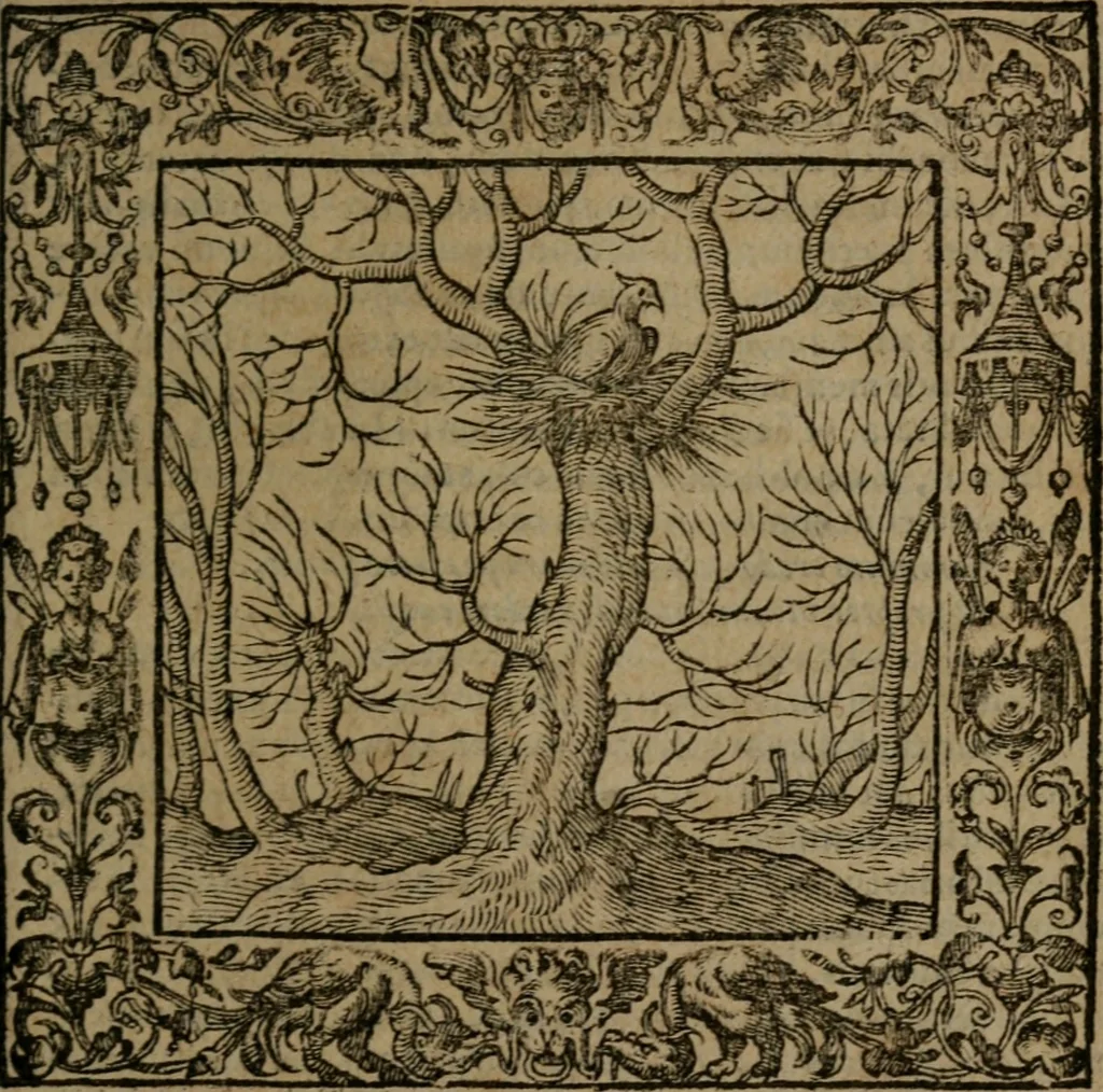 An illustration from Omnia Andreae Alciati v.c. emblemata : cum commentariis, quibus emblematum omnium aperta origine, mens auctoris explicatur, & obscura omnia dubiaque illustrantur, 1581, leaf 698