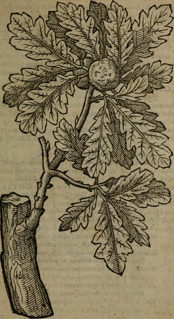 An illustration from Omnia Andreae Alciati v.c. emblemata : cum commentariis, quibus emblematum omnium aperta origine, mens auctoris explicatur, & obscura omnia dubiaque illustrantur, 1581, leaf 720