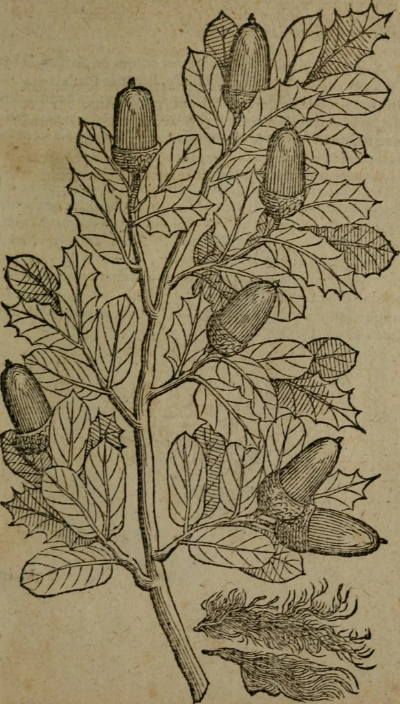 An illustration from Omnia Andreae Alciati v.c. emblemata : cum commentariis, quibus emblematum omnium aperta origine, mens auctoris explicatur, & obscura omnia dubiaque illustrantur, 1581, leaf 734