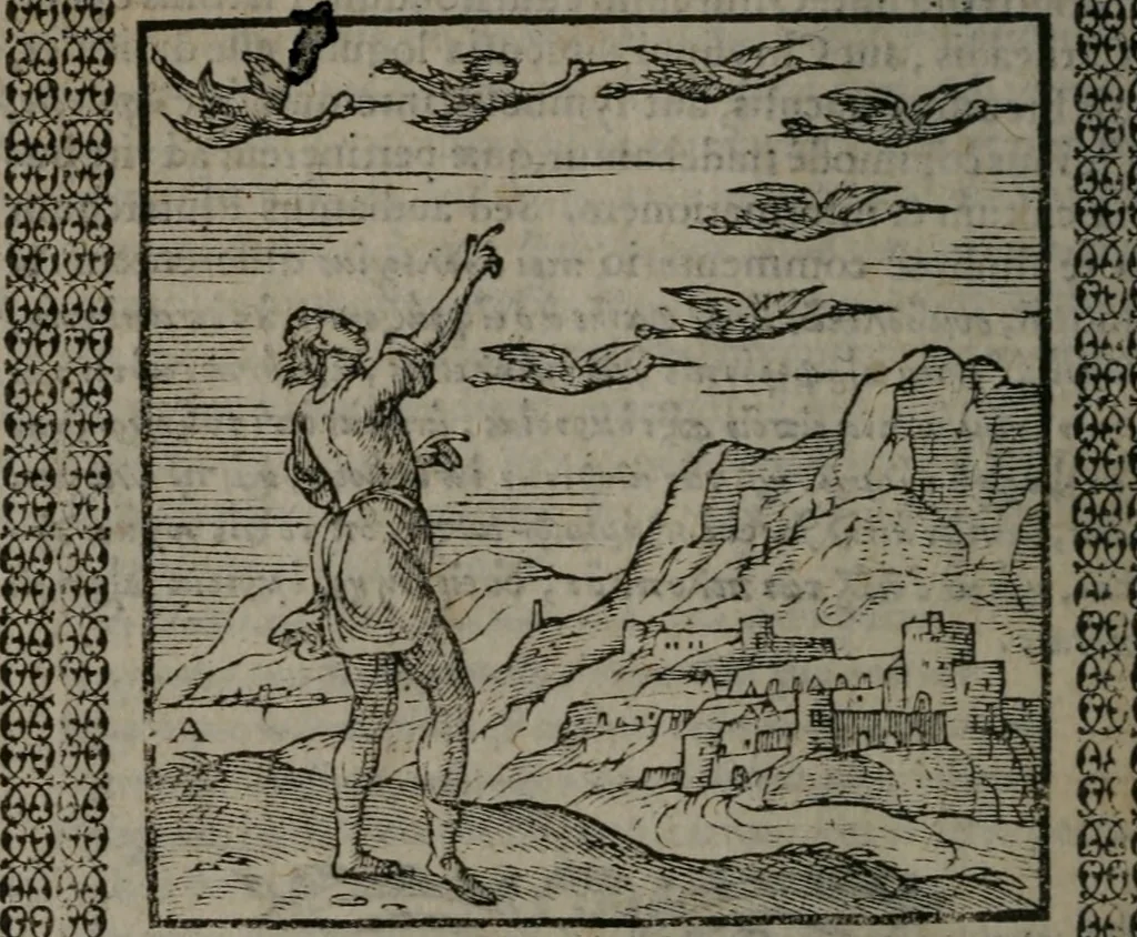 An illustration from Omnia Andreae Alciati v.c. emblemata : cum commentariis, quibus emblematum omnium aperta origine, mens auctoris explicatur, & obscura omnia dubiáque illustrantur, 1577, leaf 113