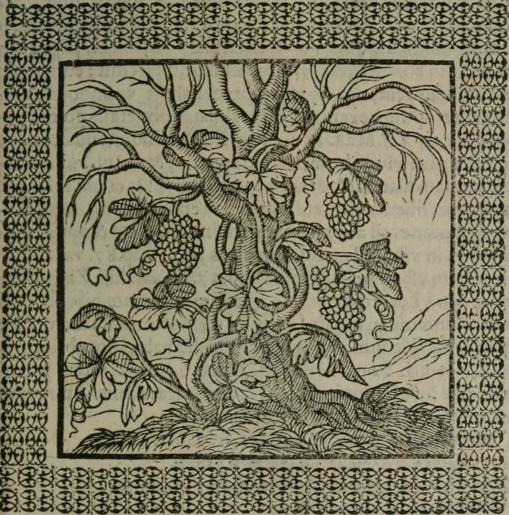 An illustration from Omnia Andreae Alciati v.c. emblemata : cum commentariis, quibus emblematum omnium aperta origine, mens auctoris explicatur, & obscura omnia dubiáque illustrantur, 1577, leaf 134