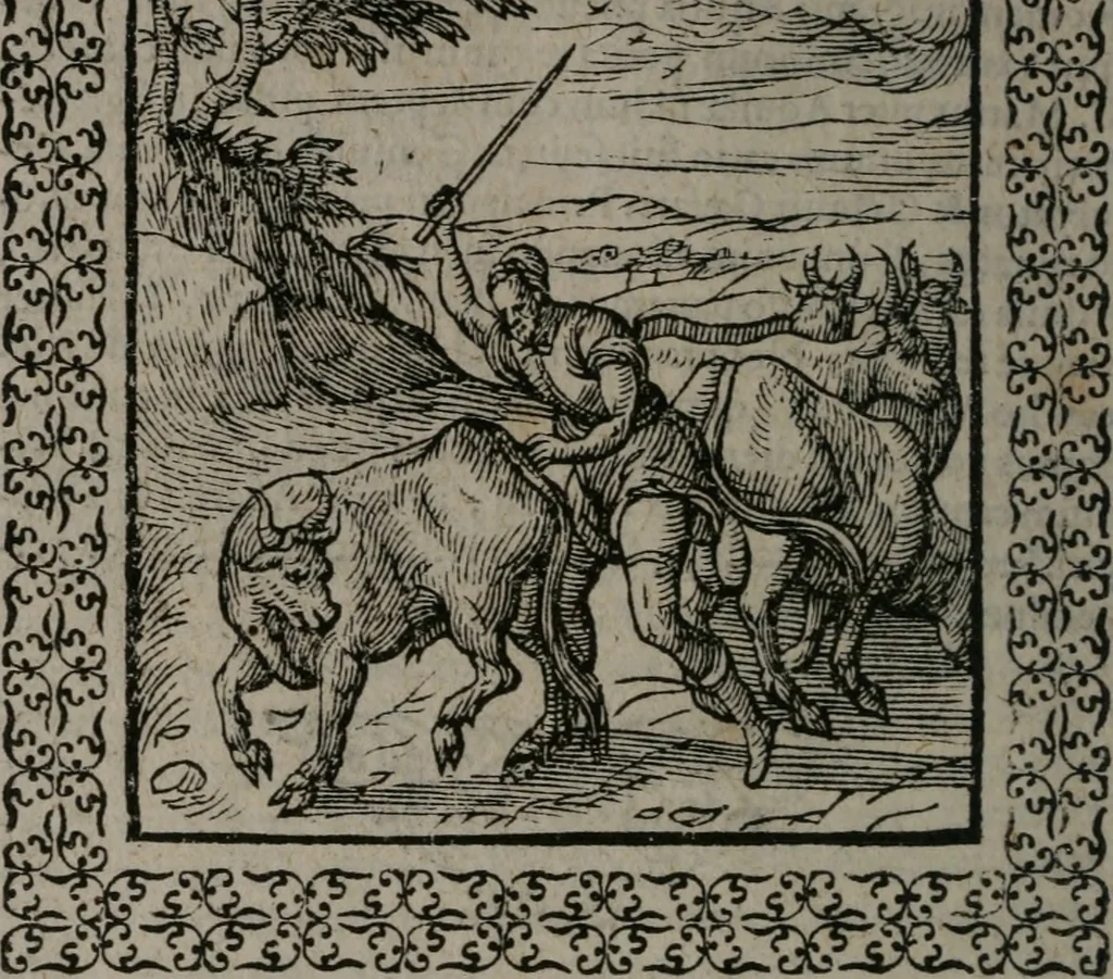 An illustration from Omnia Andreae Alciati v.c. emblemata : cum commentariis, quibus emblematum omnium aperta origine, mens auctoris explicatur, & obscura omnia dubiáque illustrantur, 1577, leaf 173