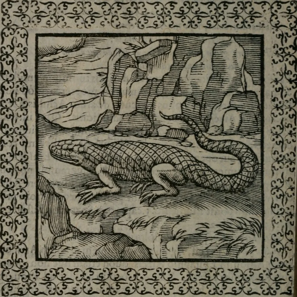 An illustration from Omnia Andreae Alciati v.c. emblemata : cum commentariis, quibus emblematum omnium aperta origine, mens auctoris explicatur, & obscura omnia dubiáque illustrantur, 1577, leaf 215