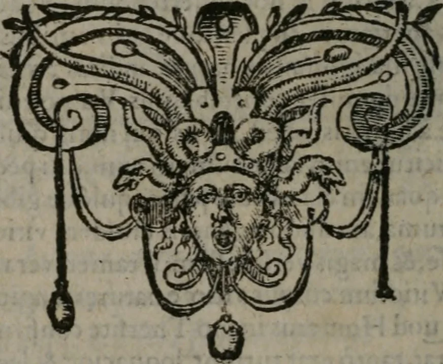 An illustration from Omnia Andreae Alciati v.c. emblemata : cum commentariis, quibus emblematum omnium aperta origine, mens auctoris explicatur, & obscura omnia dubiáque illustrantur, 1577, leaf 217