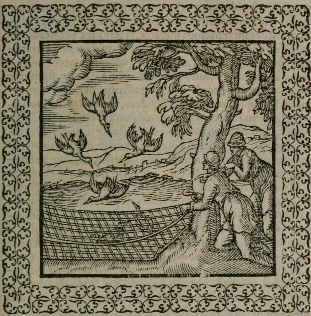 An illustration from Omnia Andreae Alciati v.c. emblemata : cum commentariis, quibus emblematum omnium aperta origine, mens auctoris explicatur, & obscura omnia dubiáque illustrantur, 1577, leaf 218