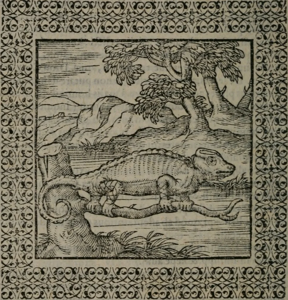 An illustration from Omnia Andreae Alciati v.c. emblemata : cum commentariis, quibus emblematum omnium aperta origine, mens auctoris explicatur, & obscura omnia dubiáque illustrantur, 1577, leaf 225