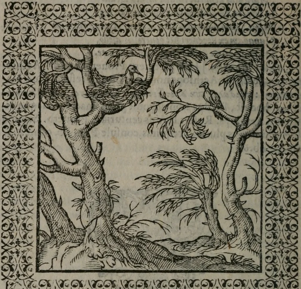 An illustration from Omnia Andreae Alciati v.c. emblemata : cum commentariis, quibus emblematum omnium aperta origine, mens auctoris explicatur, & obscura omnia dubiáque illustrantur, 1577, leaf 243