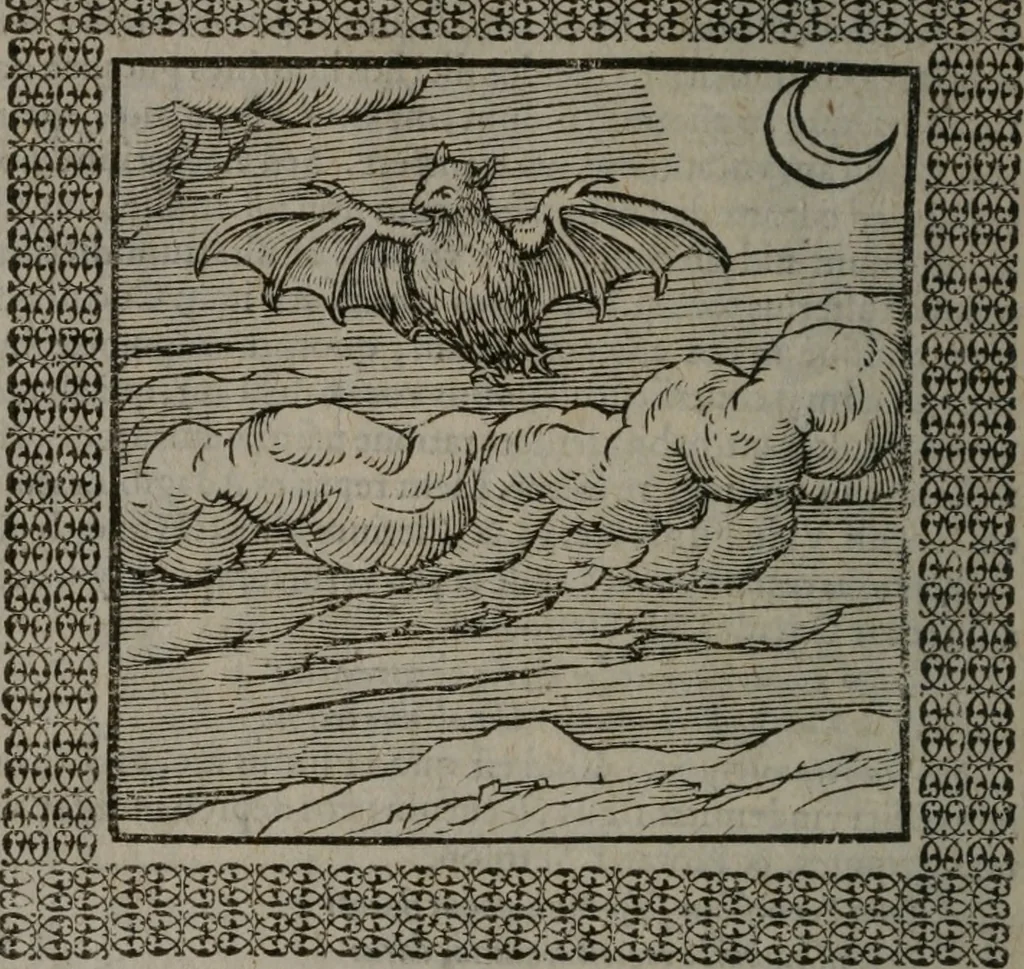 An illustration from Omnia Andreae Alciati v.c. emblemata : cum commentariis, quibus emblematum omnium aperta origine, mens auctoris explicatur, & obscura omnia dubiáque illustrantur, 1577, leaf 245