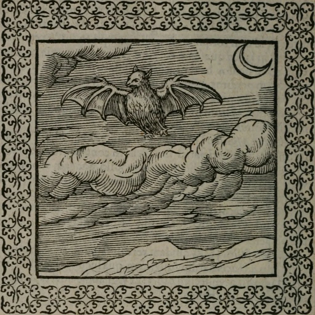 An illustration from Omnia Andreae Alciati v.c. emblemata : cum commentariis, quibus emblematum omnium aperta origine, mens auctoris explicatur, & obscura omnia dubiáque illustrantur, 1577, leaf 247