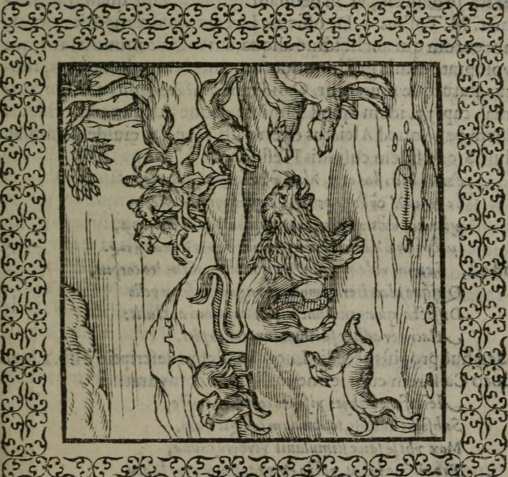 An illustration from Omnia Andreae Alciati v.c. emblemata : cum commentariis, quibus emblematum omnium aperta origine, mens auctoris explicatur, & obscura omnia dubiáque illustrantur, 1577, leaf 250