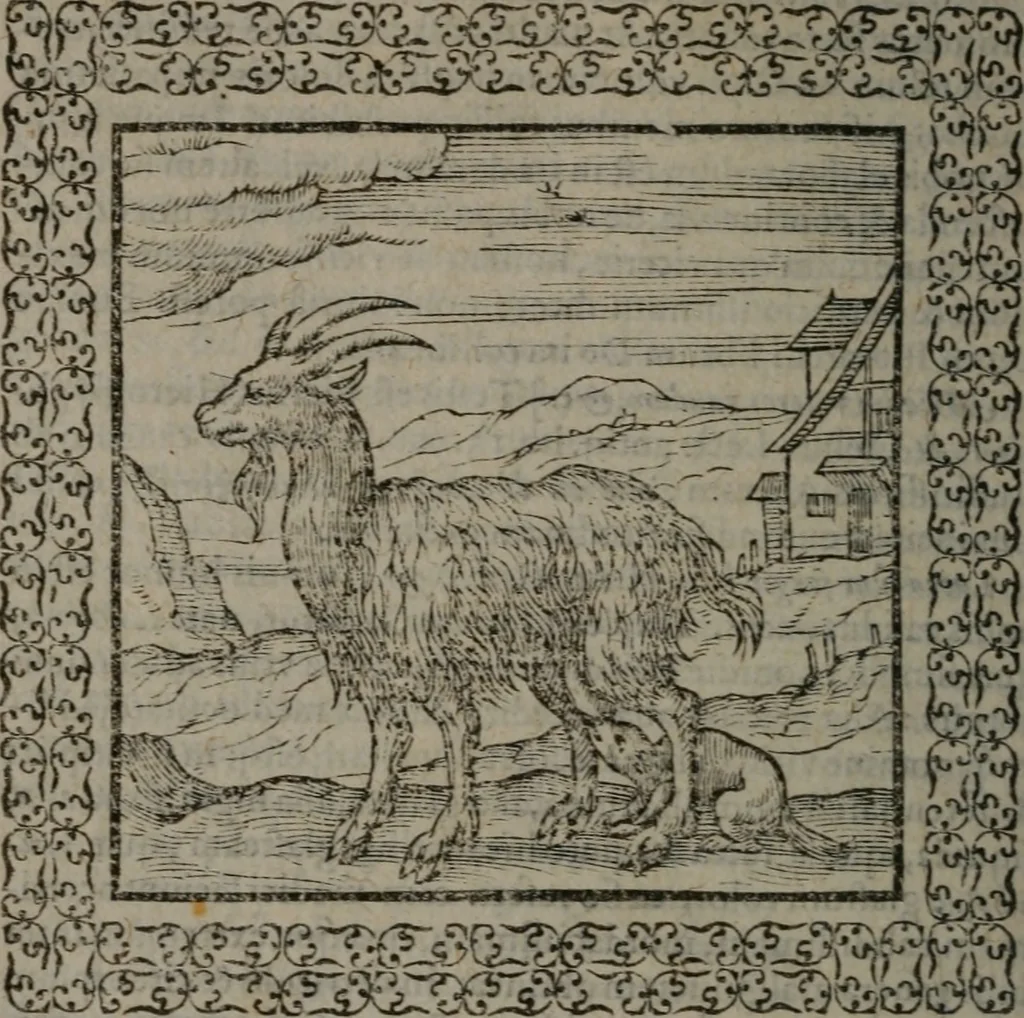 An illustration from Omnia Andreae Alciati v.c. emblemata : cum commentariis, quibus emblematum omnium aperta origine, mens auctoris explicatur, & obscura omnia dubiáque illustrantur, 1577, leaf 253