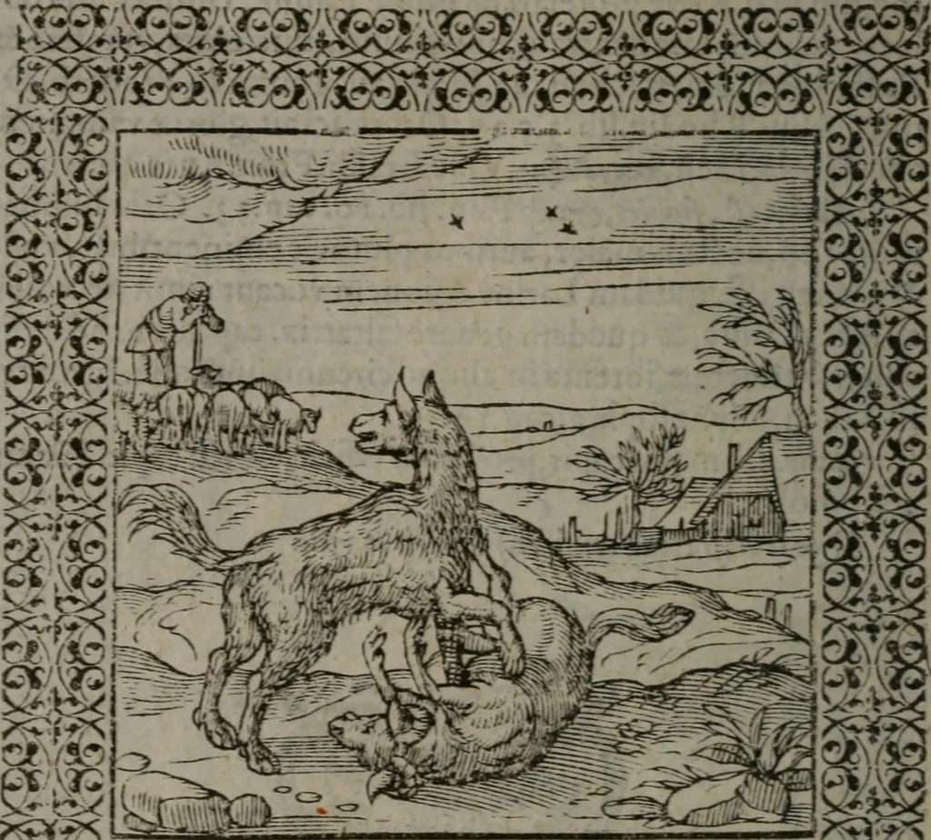 An illustration from Omnia Andreae Alciati v.c. emblemata : cum commentariis, quibus emblematum omnium aperta origine, mens auctoris explicatur, & obscura omnia dubiáque illustrantur, 1577, leaf 257