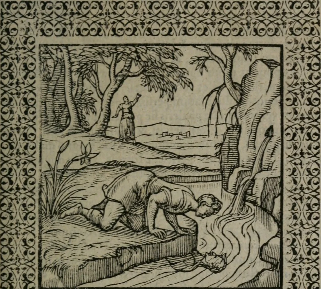 An illustration from Omnia Andreae Alciati v.c. emblemata : cum commentariis, quibus emblematum omnium aperta origine, mens auctoris explicatur, & obscura omnia dubiáque illustrantur, 1577, leaf 264