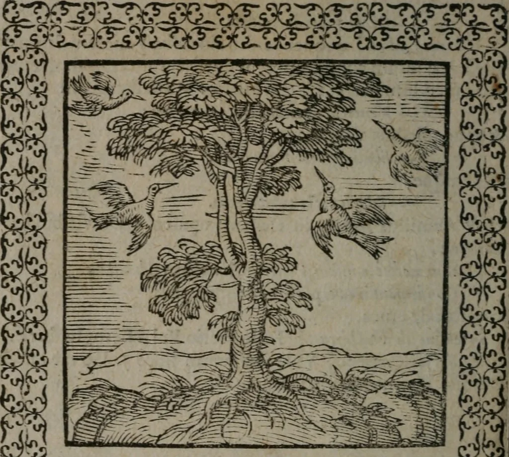 An illustration from Omnia Andreae Alciati v.c. emblemata : cum commentariis, quibus emblematum omnium aperta origine, mens auctoris explicatur, & obscura omnia dubiáque illustrantur, 1577, leaf 279