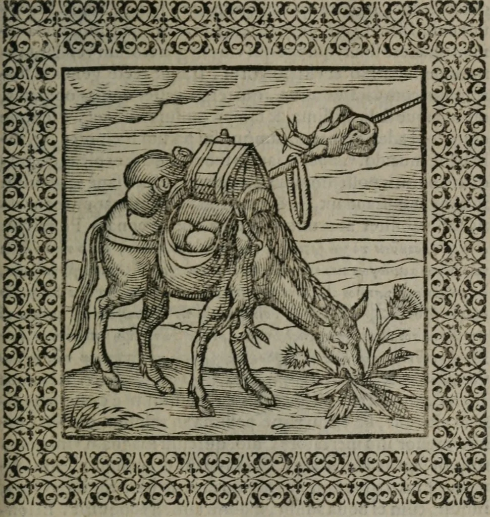 An illustration from Omnia Andreae Alciati v.c. emblemata : cum commentariis, quibus emblematum omnium aperta origine, mens auctoris explicatur, & obscura omnia dubiáque illustrantur, 1577, leaf 312