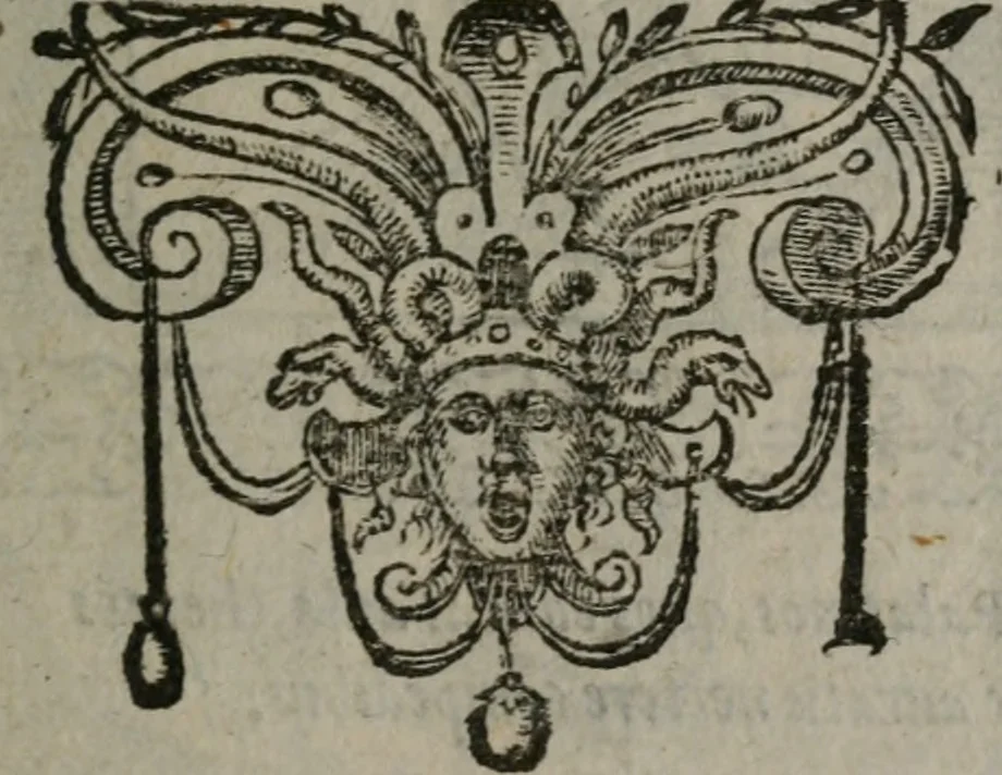 An illustration from Omnia Andreae Alciati v.c. emblemata : cum commentariis, quibus emblematum omnium aperta origine, mens auctoris explicatur, & obscura omnia dubiáque illustrantur, 1577, leaf 314