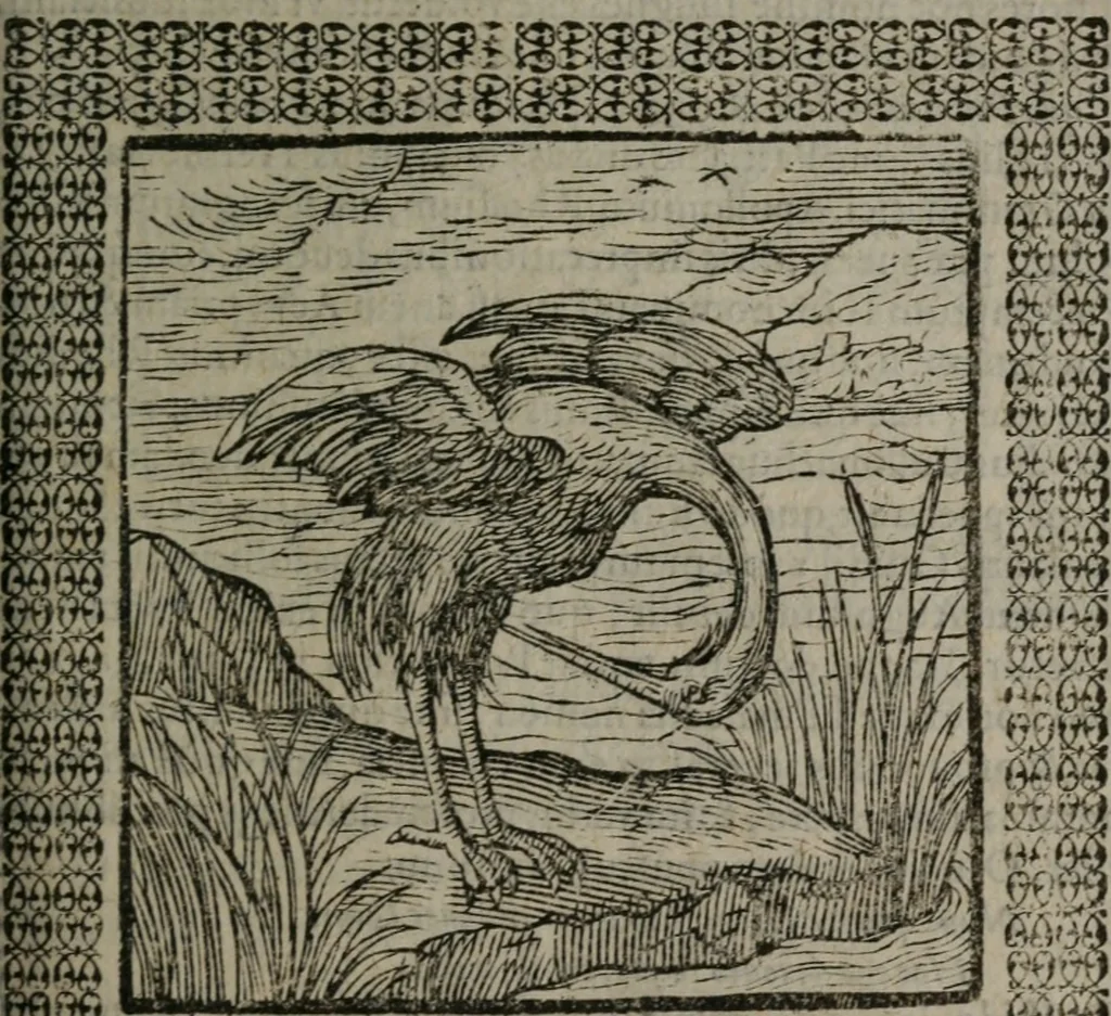 An illustration from Omnia Andreae Alciati v.c. emblemata : cum commentariis, quibus emblematum omnium aperta origine, mens auctoris explicatur, & obscura omnia dubiáque illustrantur, 1577, leaf 316