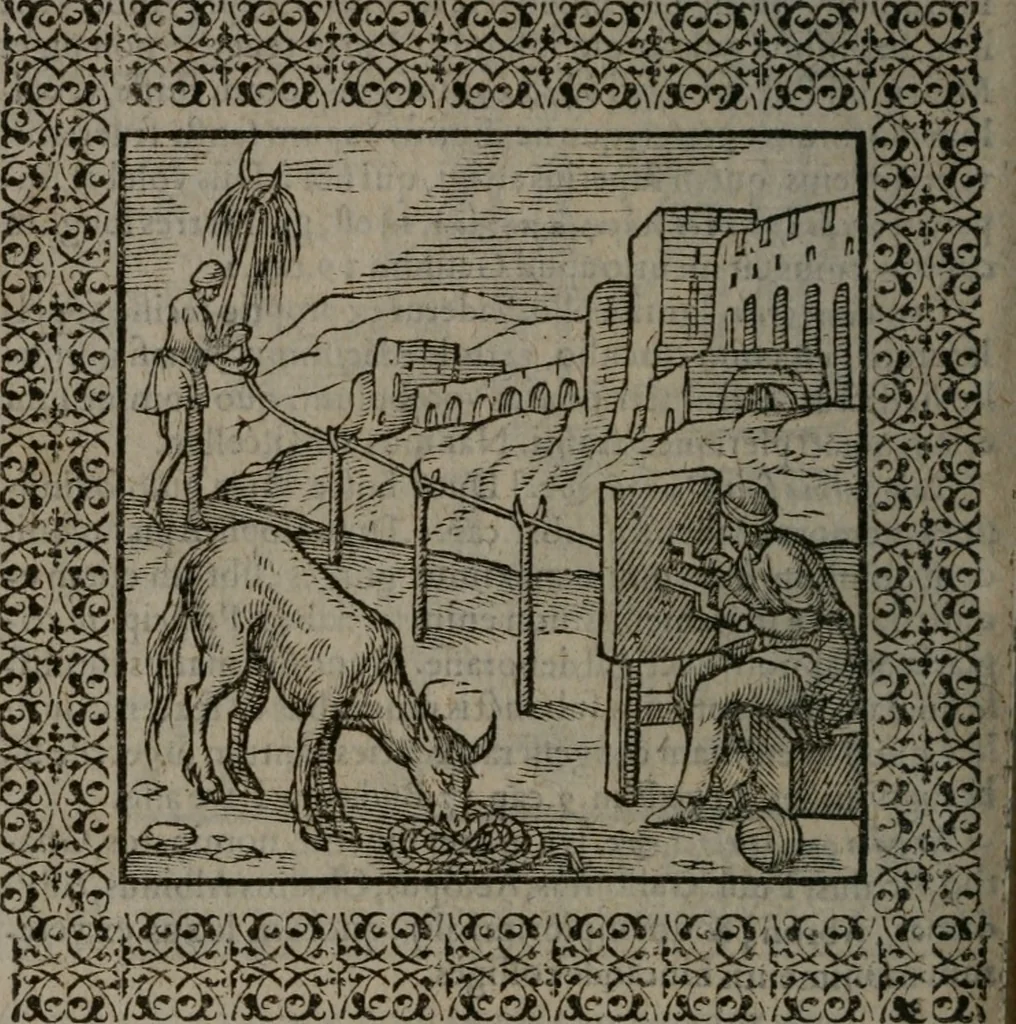 An illustration from Omnia Andreae Alciati v.c. emblemata : cum commentariis, quibus emblematum omnium aperta origine, mens auctoris explicatur, & obscura omnia dubiáque illustrantur, 1577, leaf 325