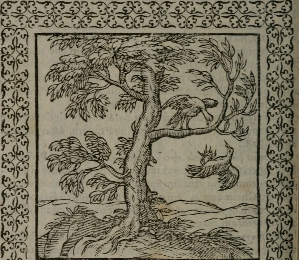 An illustration from Omnia Andreae Alciati v.c. emblemata : cum commentariis, quibus emblematum omnium aperta origine, mens auctoris explicatur, & obscura omnia dubiáque illustrantur, 1577, leaf 329