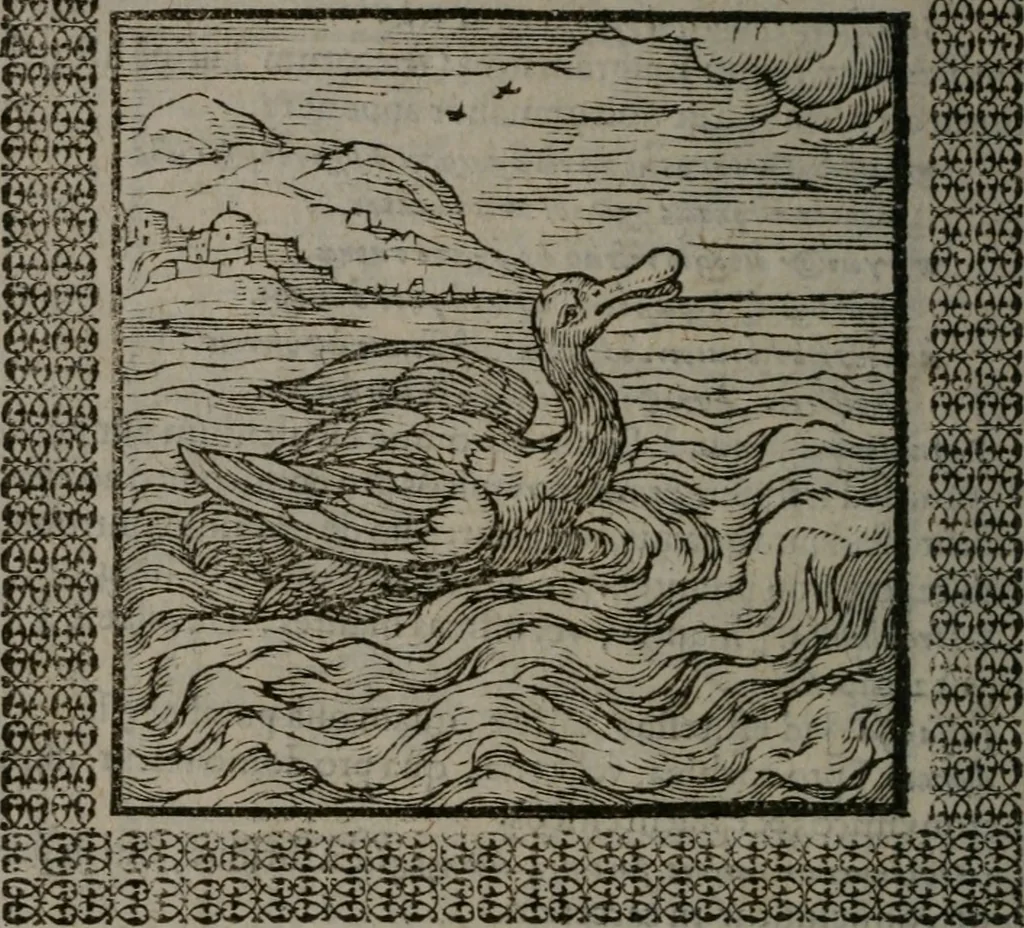An illustration from Omnia Andreae Alciati v.c. emblemata : cum commentariis, quibus emblematum omnium aperta origine, mens auctoris explicatur, & obscura omnia dubiáque illustrantur, 1577, leaf 333