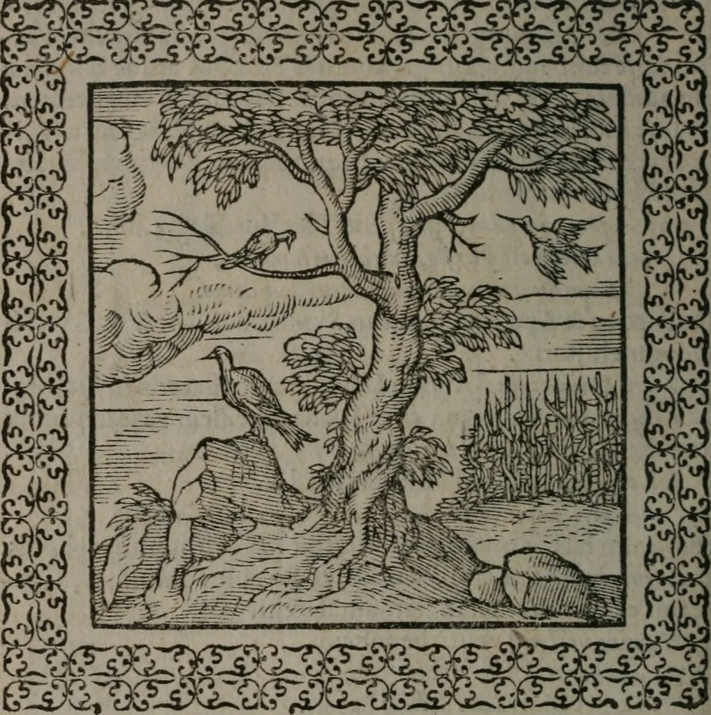 An illustration from Omnia Andreae Alciati v.c. emblemata : cum commentariis, quibus emblematum omnium aperta origine, mens auctoris explicatur, & obscura omnia dubiáque illustrantur, 1577, leaf 347
