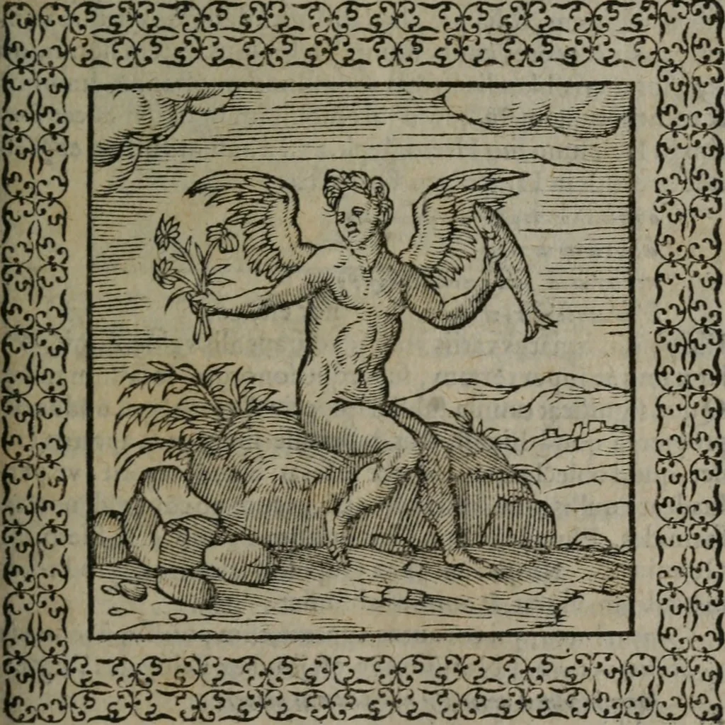 An illustration from Omnia Andreae Alciati v.c. emblemata : cum commentariis, quibus emblematum omnium aperta origine, mens auctoris explicatur, & obscura omnia dubiáque illustrantur, 1577, leaf 364