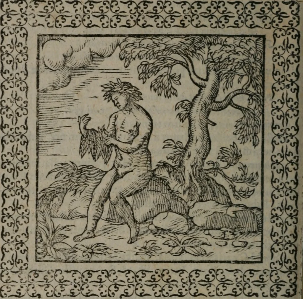 An illustration from Omnia Andreae Alciati v.c. emblemata : cum commentariis, quibus emblematum omnium aperta origine, mens auctoris explicatur, & obscura omnia dubiáque illustrantur, 1577, leaf 371