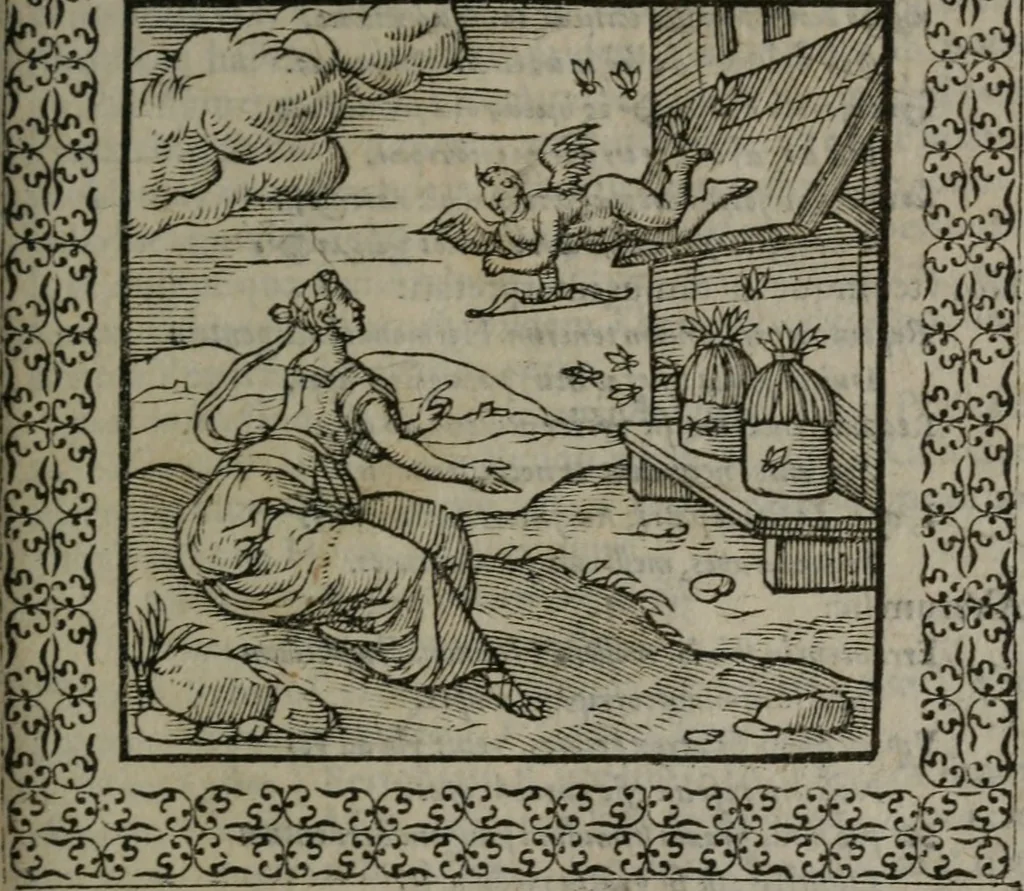 An illustration from Omnia Andreae Alciati v.c. emblemata : cum commentariis, quibus emblematum omnium aperta origine, mens auctoris explicatur, & obscura omnia dubiáque illustrantur, 1577, leaf 378