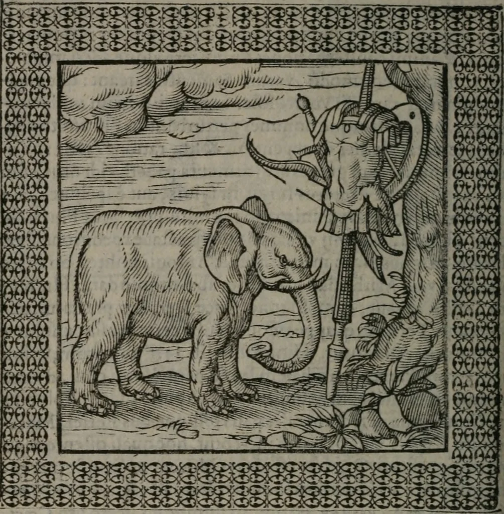 An illustration from Omnia Andreae Alciati v.c. emblemata : cum commentariis, quibus emblematum omnium aperta origine, mens auctoris explicatur, & obscura omnia dubiáque illustrantur, 1577, leaf 423