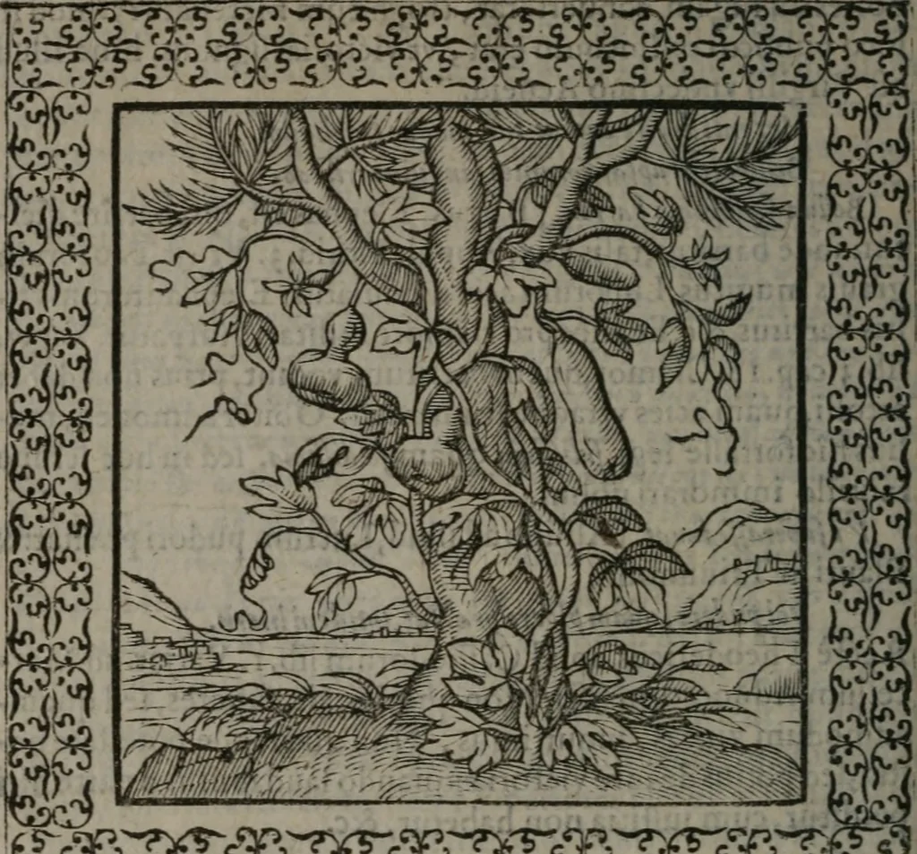 An illustration from Omnia Andreae Alciati v.c. emblemata : cum commentariis, quibus emblematum omnium aperta origine, mens auctoris explicatur, & obscura omnia dubiáque illustrantur, 1577, leaf 427