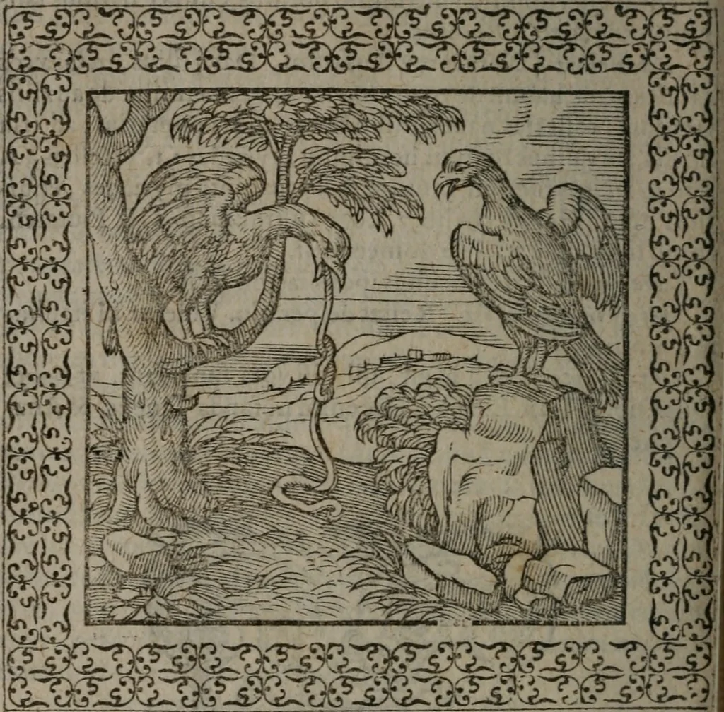 An illustration from Omnia Andreae Alciati v.c. emblemata : cum commentariis, quibus emblematum omnium aperta origine, mens auctoris explicatur, & obscura omnia dubiáque illustrantur, 1577, leaf 439