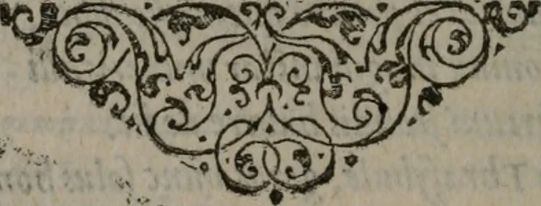 An illustration from Omnia Andreae Alciati v.c. emblemata : cum commentariis, quibus emblematum omnium aperta origine, mens auctoris explicatur, & obscura omnia dubiáque illustrantur, 1577, leaf 457
