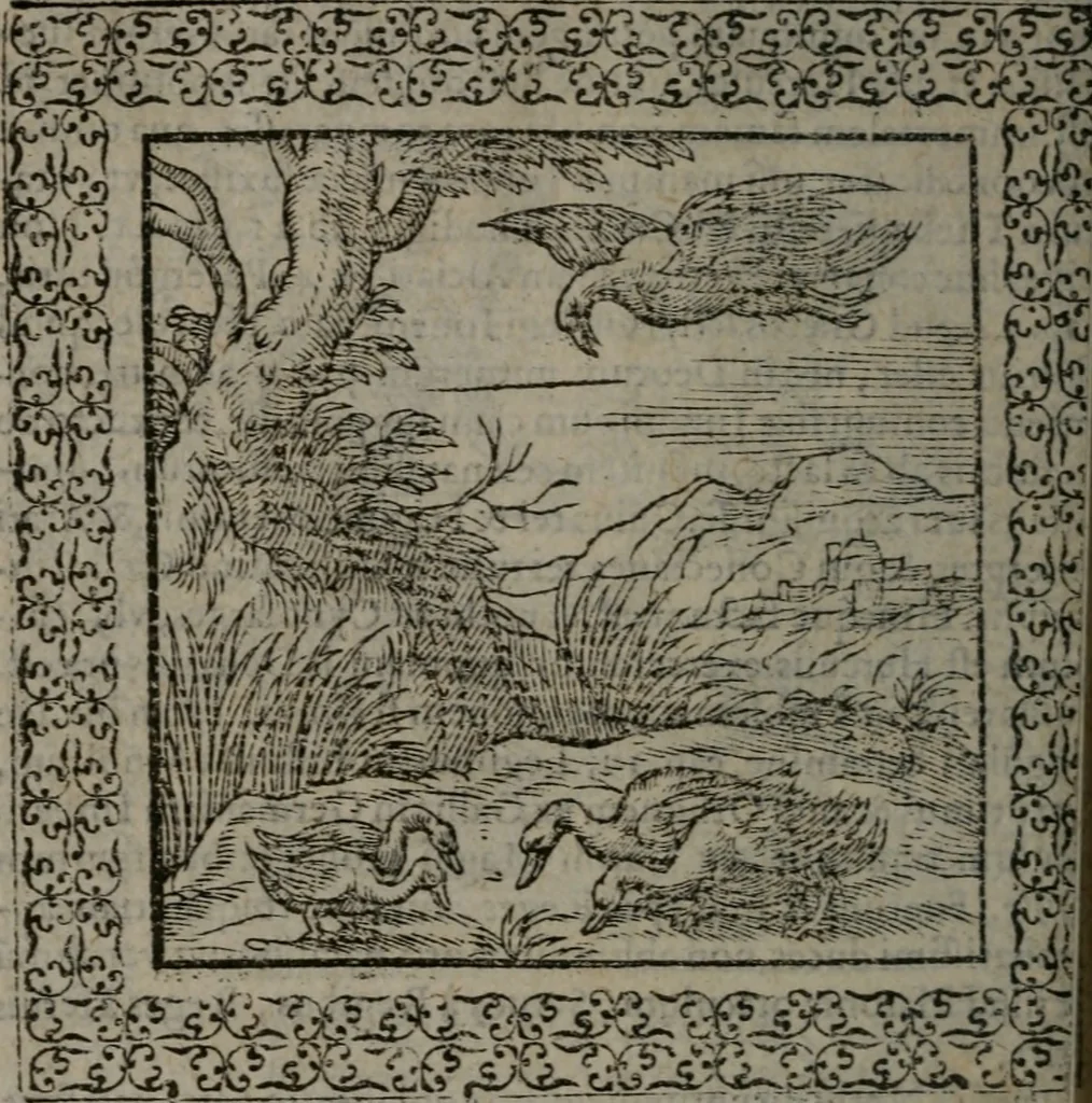 An illustration from Omnia Andreae Alciati v.c. emblemata : cum commentariis, quibus emblematum omnium aperta origine, mens auctoris explicatur, & obscura omnia dubiáque illustrantur, 1577, leaf 473