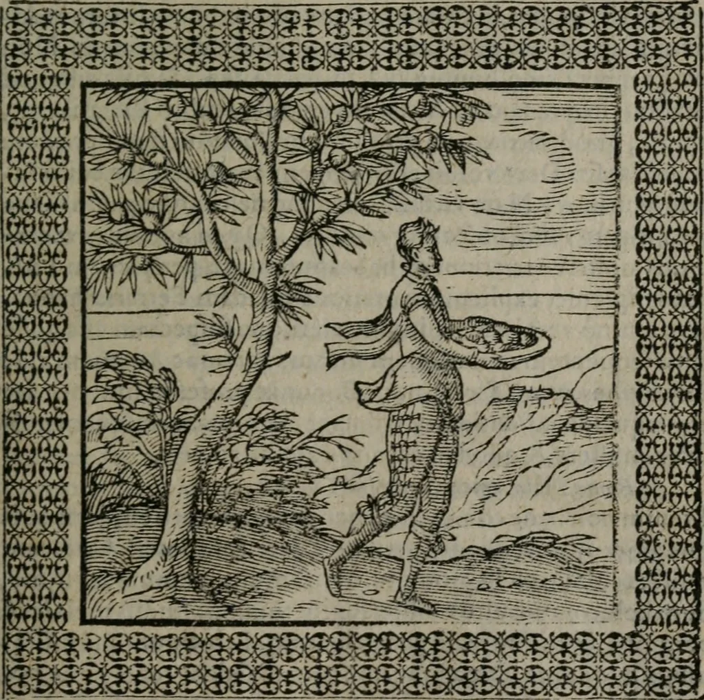 An illustration from Omnia Andreae Alciati v.c. emblemata : cum commentariis, quibus emblematum omnium aperta origine, mens auctoris explicatur, & obscura omnia dubiáque illustrantur, 1577, leaf 480