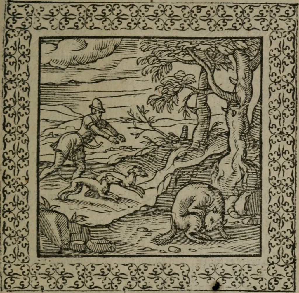 An illustration from Omnia Andreae Alciati v.c. emblemata : cum commentariis, quibus emblematum omnium aperta origine, mens auctoris explicatur, & obscura omnia dubiáque illustrantur, 1577, leaf 506