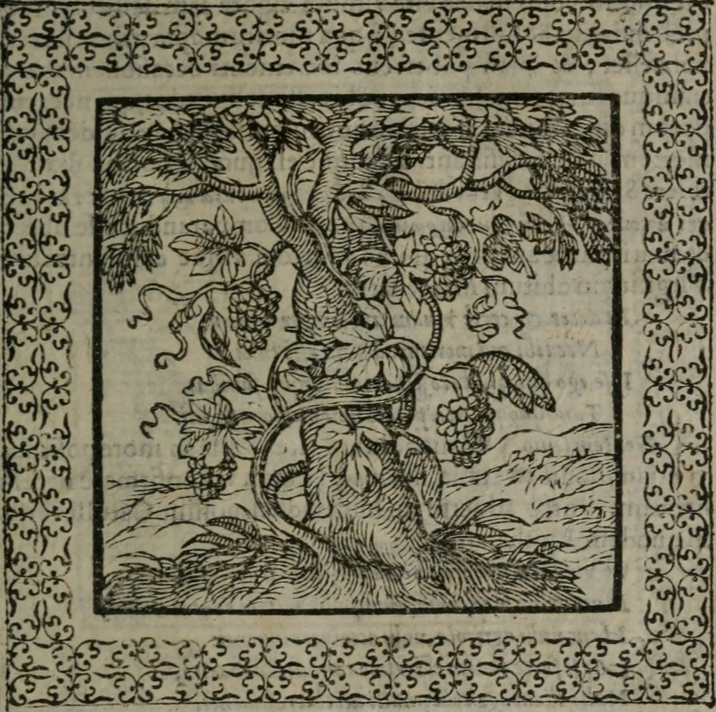 An illustration from Omnia Andreae Alciati v.c. emblemata : cum commentariis, quibus emblematum omnium aperta origine, mens auctoris explicatur, & obscura omnia dubiáque illustrantur, 1577, leaf 522