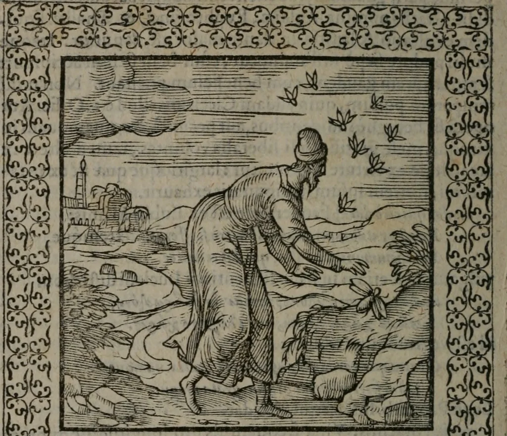 An illustration from Omnia Andreae Alciati v.c. emblemata : cum commentariis, quibus emblematum omnium aperta origine, mens auctoris explicatur, & obscura omnia dubiáque illustrantur, 1577, leaf 533