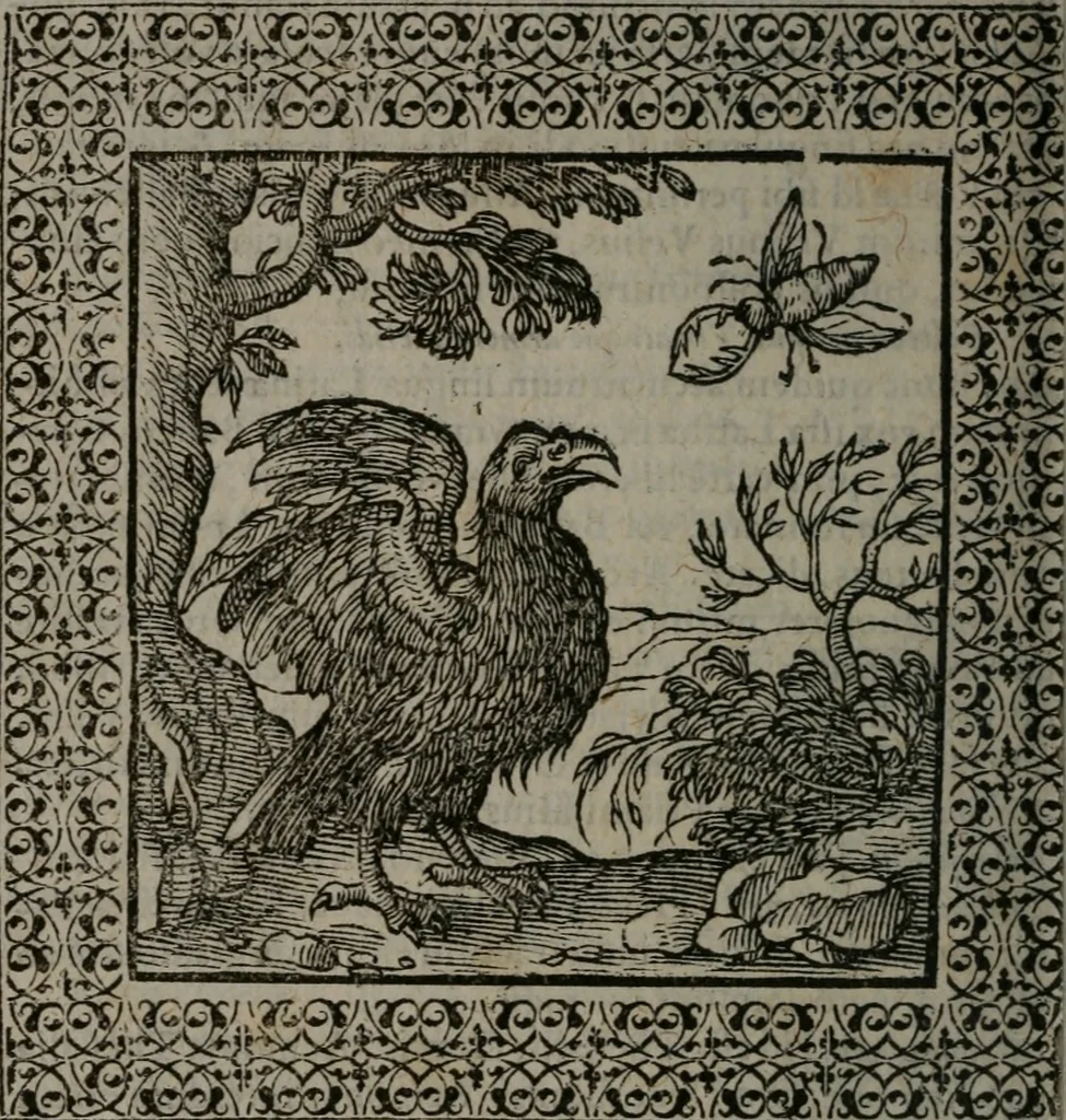 An illustration from Omnia Andreae Alciati v.c. emblemata : cum commentariis, quibus emblematum omnium aperta origine, mens auctoris explicatur, & obscura omnia dubiáque illustrantur, 1577, leaf 547